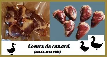 coeurs de canard