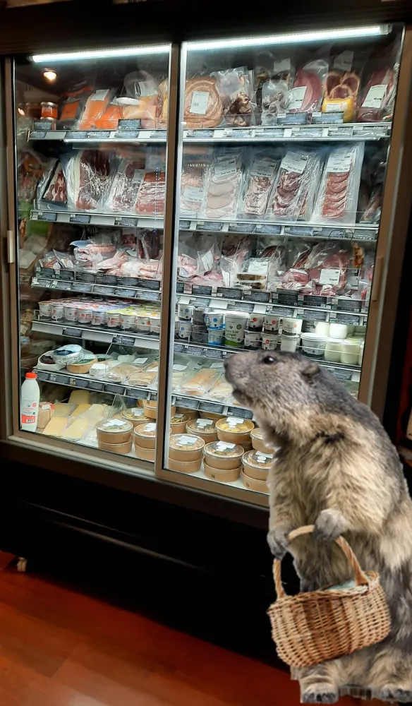 le panier de la marmotte (12)