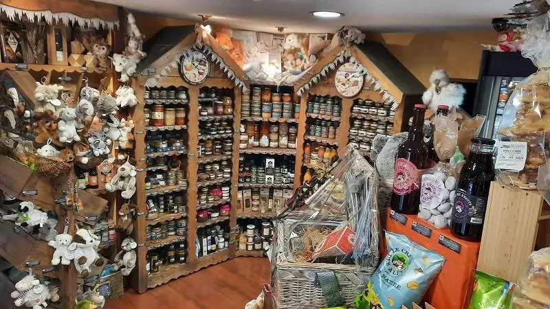 le panier de la marmotte (47)