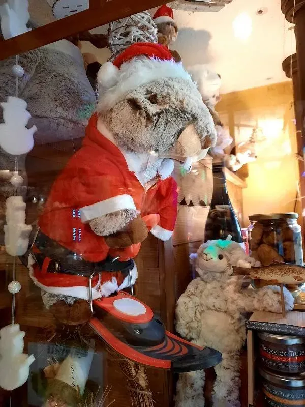 le panier de la marmotte (68)