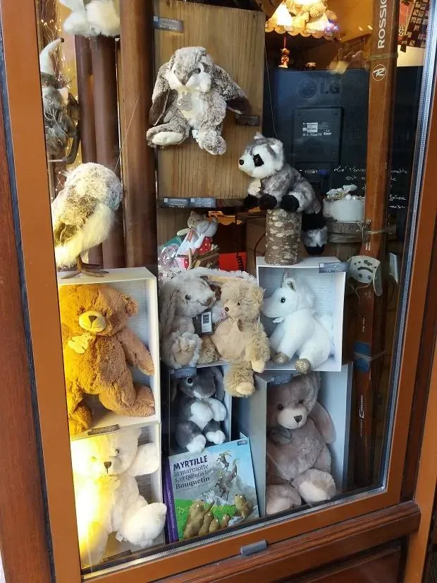 le panier de la marmotte (1)