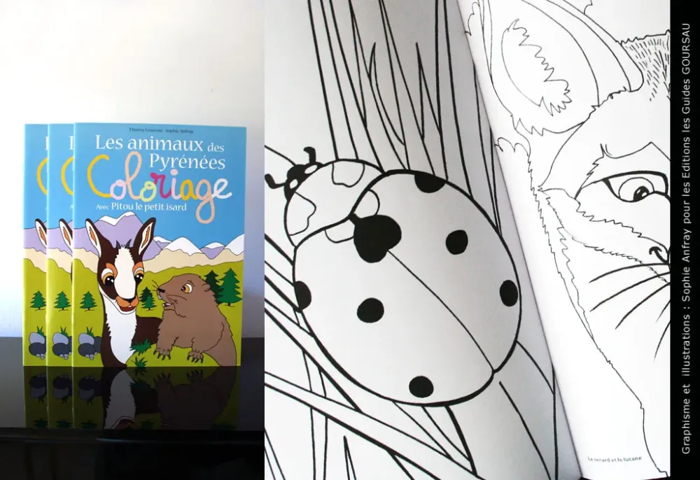 Le Panier de la Marmotte - Coloriage pitou-01