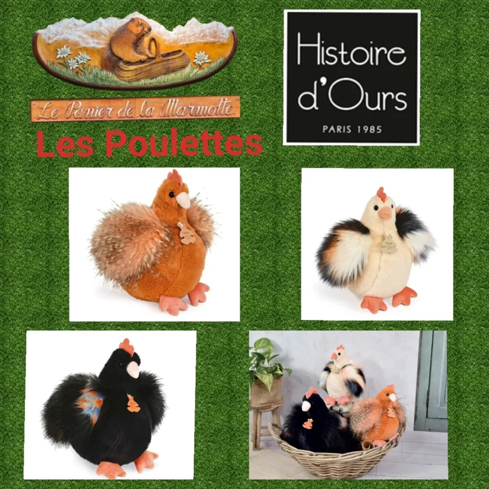 Venez découvrir Les Poulettes - Histoire D'ours