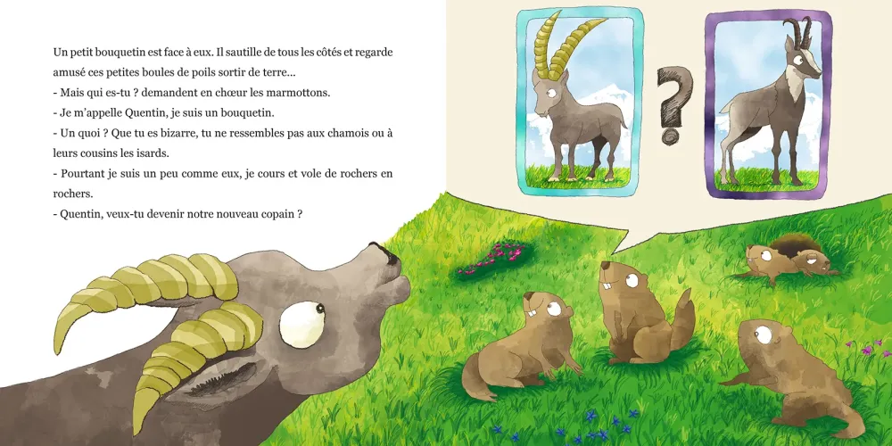 Le Panier de la Marmotte - Myrtille T5 I6-11-3