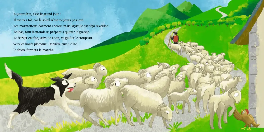 Le Panier de la Marmotte - Myrtille T5 I6