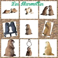 Le Panier de la Marmotte - Les Marmottes