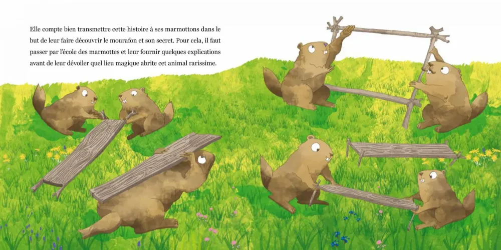 Le Panier de la Marmotte - Myrtille T8 I2