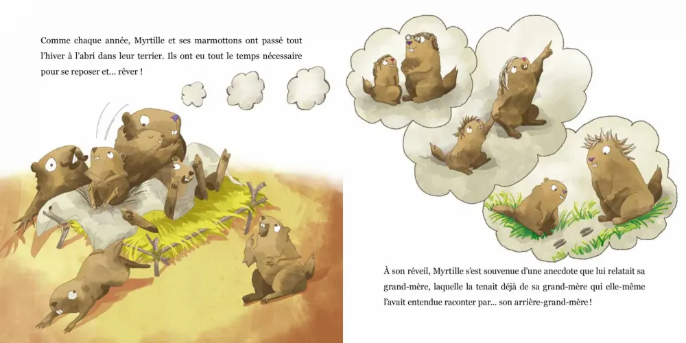 Le Panier de la Marmotte - Myrtille T8 I
