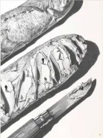 6783e0fc6ee6b_images_medium