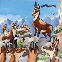 Le Panier de la Marmotte - Pitou T2-02