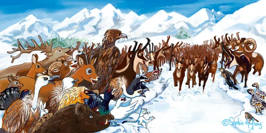 Le Panier de la Marmotte - Pitou T3-8-9