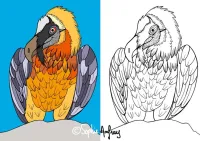 Le Panier de la Marmotte - Coloriage pitou-04