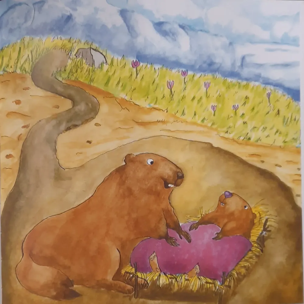 Le Panier de la Marmotte - Myrtille T1 - I1