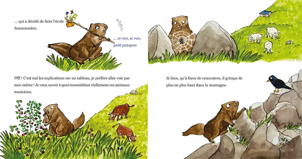 Le Panier de la Marmotte - Myrtille T2-I10-11