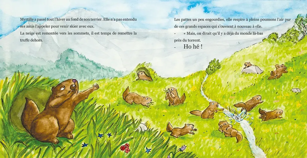 Le Panier de la Marmotte - Myrtille T2-I2-3